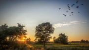 Landscape-2018007