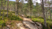 norway-2018-2018009